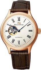 Аналоговые автоматические часы Orient Women с кожаным браслетом re-and0003s00b B07PP2YVQB цена и информация | Мужские часы | hansapost.ee