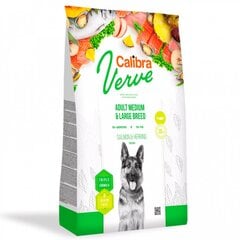 Calibra Dog Verve GF Adult Medium&Large Salmon&Herring, 12 kg price and information | Dry dog food and crisps | hansapost.ee