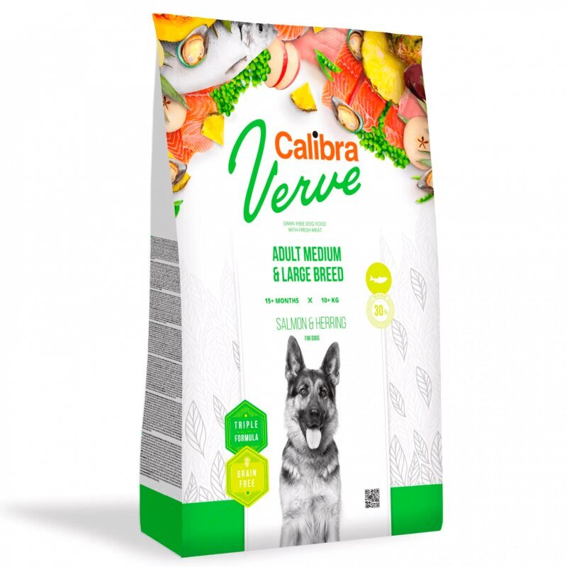 Calibra Dog Verve GF Adult Medium&Large Salmon&Herring, 12 kg цена и информация | Koerte kuivtoit ja krõbinad | hansapost.ee