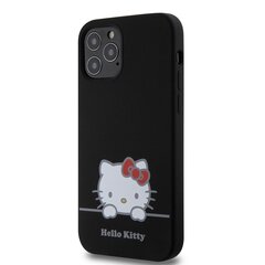 Hello Kitty Liquid Silicone Daydreaming Logo Case for iPhone 12|12 Pro Black цена и информация | Чехлы для телефонов | hansapost.ee