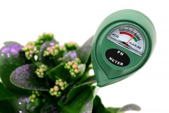 Pinnase Ph mõõtja Garden Line цена и информация | Niiskuse, temperatuuri, pH ja ORP mõõdikud | hansapost.ee