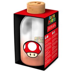 Nintendo Super Mario Bros Klaaspudel 620ml hind ja info | Joogipudelid | hansapost.ee