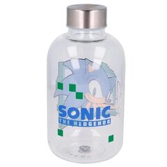 Sonic the Hedgehog klaaspudel 620ml hind ja info | Joogipudelid | hansapost.ee