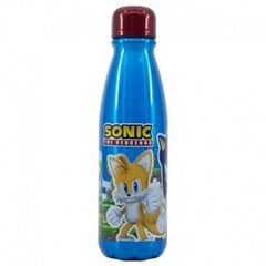 Sonic alumiiniumjootur 600 ml hind ja info | Joogipudelid | hansapost.ee