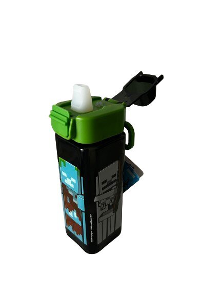 Minecraft pudel, 500 ml hind ja info | Joogipudelid | hansapost.ee