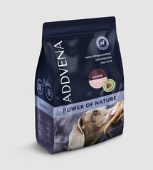 Addena Power of Nature Junior Small koos lambaga, 10 kg price and information | Koerte kuivtoit ja krõbinad | hansapost.ee