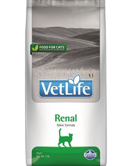 Farmina Vet Life Cat Renal 5, kg price and information | Dry cat food and cat crackers | hansapost.ee