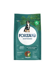 Forza10 Maxi Adult Maintenance Venison Potato suurt tõugu koertele, 12 kg цена и информация | Сухой корм для собак | hansapost.ee