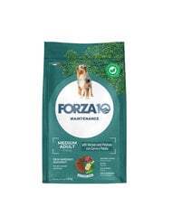 Forza10 Medium Adult Maintenance Venison Potato keskmist tõugu koertele 12 kg price and information | Dry dog food and crisps | hansapost.ee