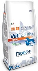 Monge Vet Solution Dog Renal, 12 кг цена и информация | Сухой корм для собак | hansapost.ee