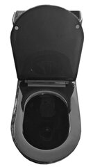 Wc-pott WC 3266B-GL koos aeglaselt sulguva kaanega price and information | Toilet bowl | hansapost.ee