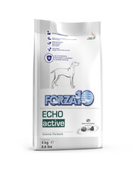 Forza10 Oto/Echo Active Dieta kõrvaprobleemidele, 4 kg цена и информация | Сухой корм для собак | hansapost.ee