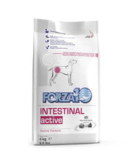 Forza 10 Intestinal Active Diet seedeprobleemide korral, 4 kg hind ja info | Koerte kuivtoit ja krõbinad | hansapost.ee