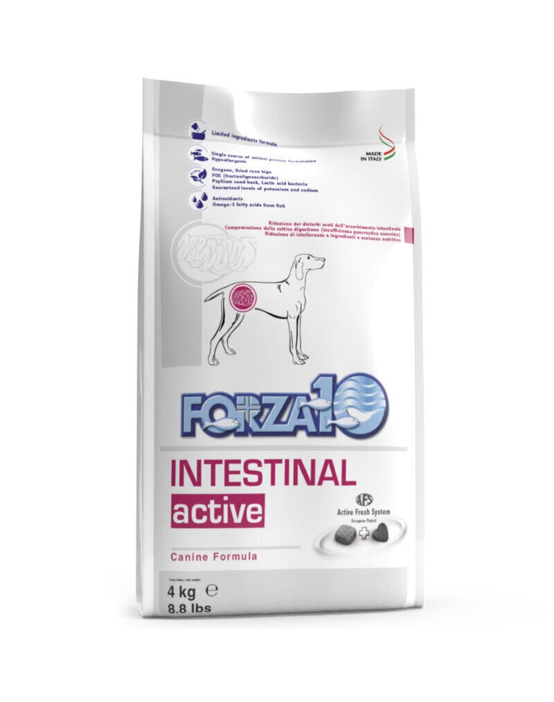 Forza 10 Intestinal Active Diet seedeprobleemide korral, 4 kg цена и информация | Koerte kuivtoit ja krõbinad | hansapost.ee