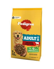 Pedigree Adult с говядиной и овощами, 7 кг цена и информация | Сухой корм для собак | hansapost.ee