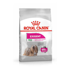 Royal Canin CCN Mini Exigent, 3 kg hind ja info | Koerte kuivtoit ja krõbinad | hansapost.ee