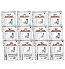 Royal Canin Diabetic Special täiskasvanud diabeetikutele koertele, 12x410 g hind ja info | Koerakonservid | hansapost.ee