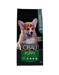 Cibau Medium Puppy с курицей, 14 кг цена и информация | Сухой корм для собак | hansapost.ee