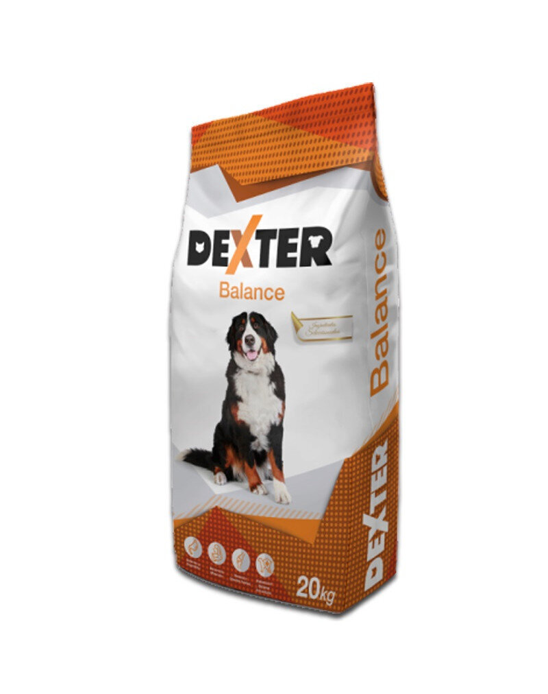 Rex Dexter Balance, 20 kg hind ja info | Koerte kuivtoit ja krõbinad | hansapost.ee