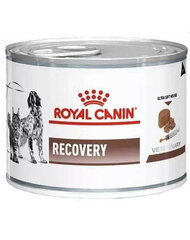 Royal Canin Vet Dog/Cat recovery, 195 g hind ja info | Koerakonservid | hansapost.ee