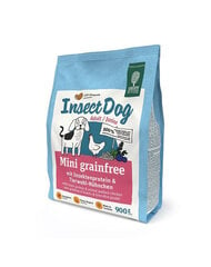 Green Petfood InsectDog Mini koos putukatega, 5x900 g hind ja info | Koerte kuivtoit ja krõbinad | hansapost.ee