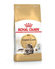 Royal Canin Maine Coon Adult, 2 kg hind ja info | Kassi kuivtoit ja kassikrõbinad | hansapost.ee