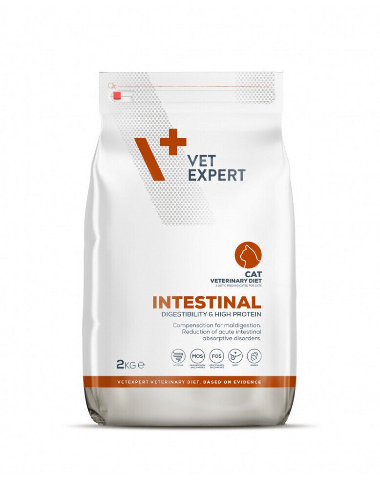 VetExpert Veterinary Diet Cat Intestinal, 2 kg цена и информация | Kassi kuivtoit ja kassikrõbinad | hansapost.ee