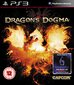PlayStation 3 mäng Dragon's Dogma цена и информация | Konsooli- ja arvutimängud | hansapost.ee