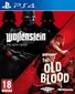 PlayStation 4 mäng Wolfenstein: Double Pack, 5055856419396 hind ja info | Konsooli- ja arvutimängud | hansapost.ee