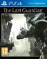 The Last Guardian PS4 hind ja info | Konsooli- ja arvutimängud | hansapost.ee