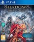 Shadows: Awakening - PlayStation 4 hind ja info | Konsooli- ja arvutimängud | hansapost.ee