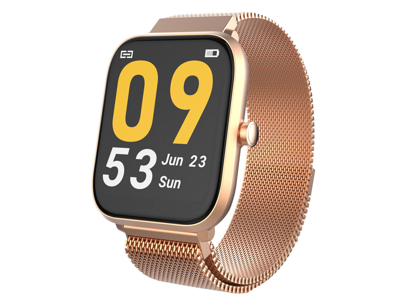 Trevi T-Fit 260 Plus Gold hind ja info | Nutikellad, laste nutikellad | hansapost.ee