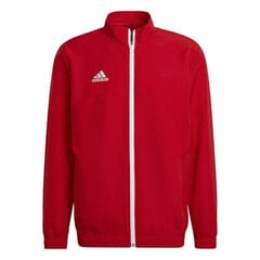 Мужской свитер Adidas Entrada 22 H57536, красный цена и информация | Футбольная форма и другие товары | hansapost.ee