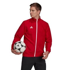 Мужской свитер Adidas Entrada 22 H57536, красный цена и информация | Футбольная форма и другие товары | hansapost.ee