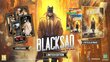 Blacksad: Under the Skin - Limited Edition PS4 цена и информация | Konsooli- ja arvutimängud | hansapost.ee