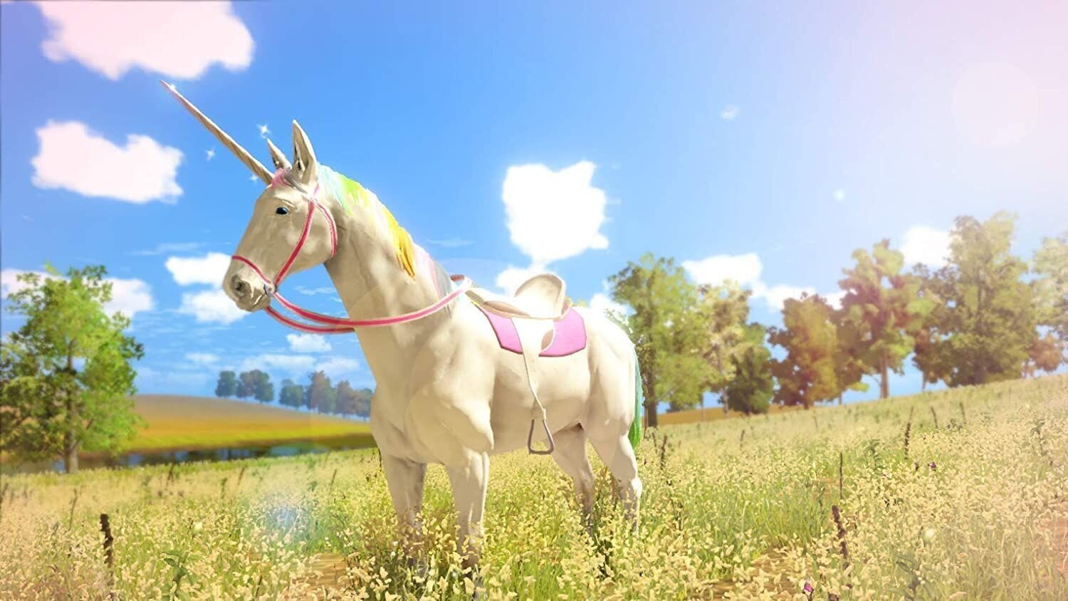 PlayStation 4 Mäng Unicorn Princess цена и информация | Konsooli- ja arvutimängud | hansapost.ee