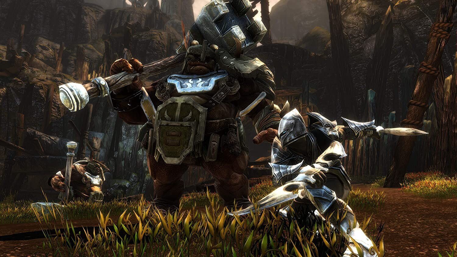 Xbox One Kingdoms of Amalur: Re-Reckoning цена и информация | Konsooli- ja arvutimängud | hansapost.ee