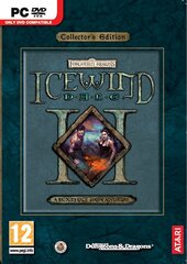 Arvutimäng Icewind Dale II hind ja info | Konsooli- ja arvutimängud | hansapost.ee