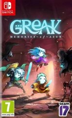 Nintendo Switch mäng Greak: Memories of Azur hind ja info | Team17 Arvutid ja IT- tehnika | hansapost.ee