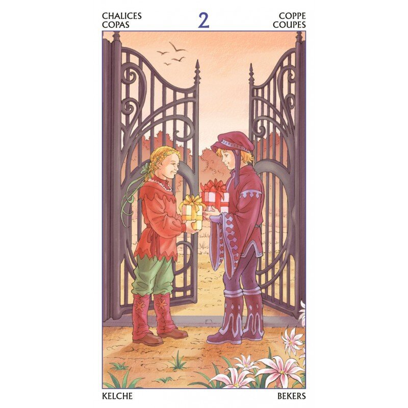 Taro kaardid Tarot Of The 78 Doors цена и информация | Esoteerika | hansapost.ee