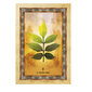 Taro kaardid Celtic Tree hind ja info | Esoteerika | hansapost.ee