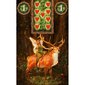 Taro kaardid Fairy Lenormand hind ja info | Esoteerika | hansapost.ee