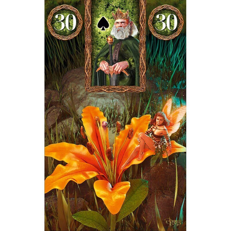 Taro kaardid Fairy Lenormand цена и информация | Esoteerika | hansapost.ee