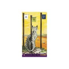 Карты Таро Tarot Of Pagan Cats цена и информация | Эзотерика | hansapost.ee