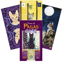 Карты Таро Tarot Of Pagan Cats цена и информация | Эзотерика | hansapost.ee