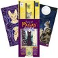 Taro kaardid Tarot Of Pagan Cats цена и информация | Esoteerika | hansapost.ee