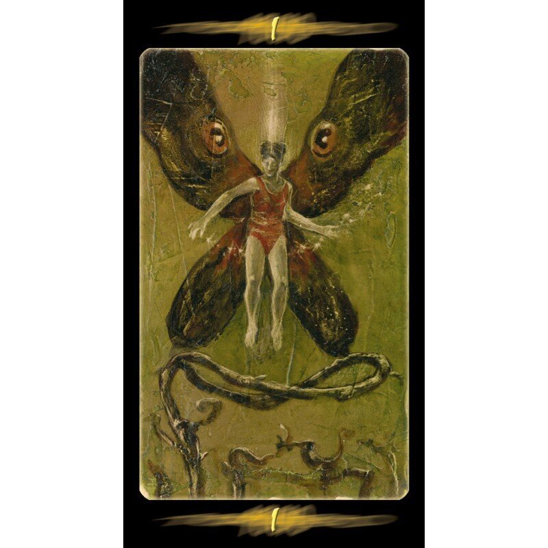 Taro kaardid Tarot Of The Secret Forest hind ja info | Esoteerika | hansapost.ee