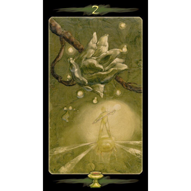 Taro kaardid Tarot Of The Secret Forest hind ja info | Esoteerika | hansapost.ee