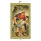 Taro kaardid Tarot Of Druids hind ja info | Esoteerika | hansapost.ee