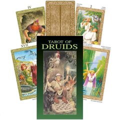 Карты Таро Tarot Of Druids цена и информация | Эзотерика | hansapost.ee